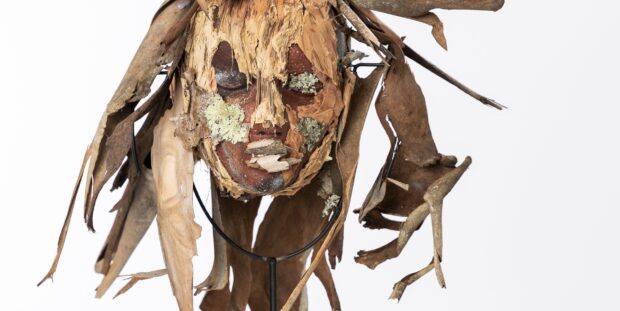 Face-like sculpture make from organic plant materials.